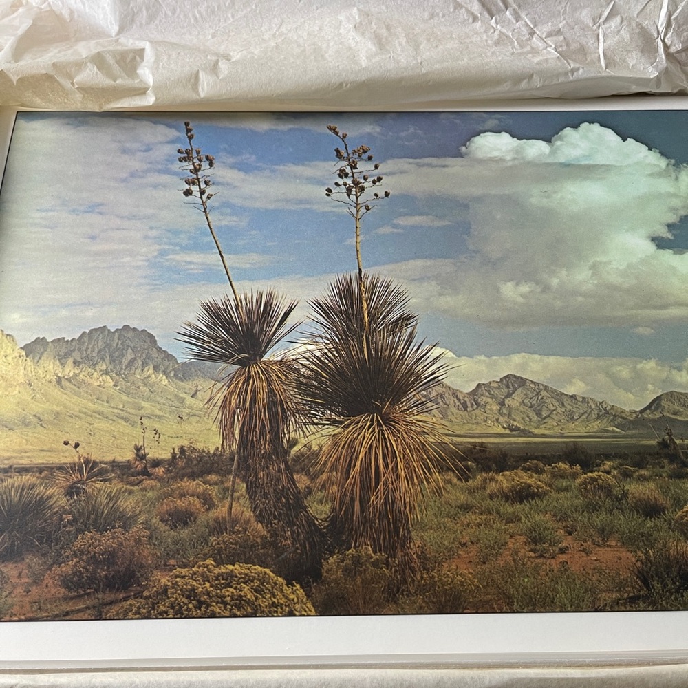 New Mexico vintage placemats